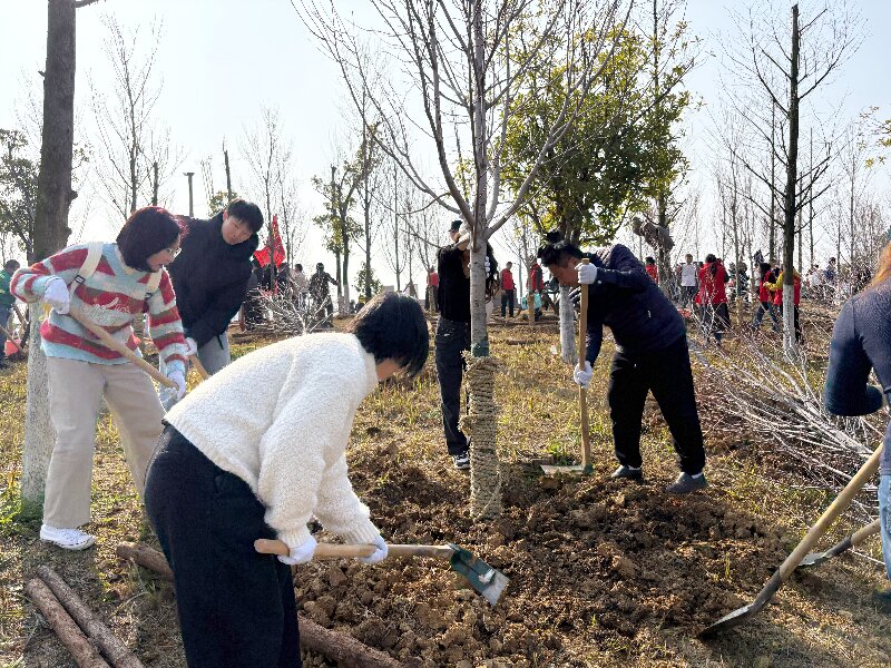 種下一片綠，收獲好心情：多靈磨盤洲的植樹活動(dòng)